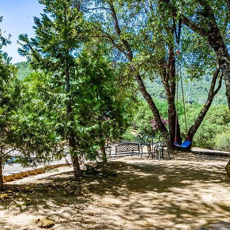Spectacular Views W/ Hot Tub/Bbq -Yosemite & Bass Lake Oakhurst Exterior foto